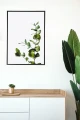 477545e2fd46c8c6747c15b8fe53acd4